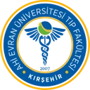 Kırşehir Ahi Evran Üniversitesi logosu